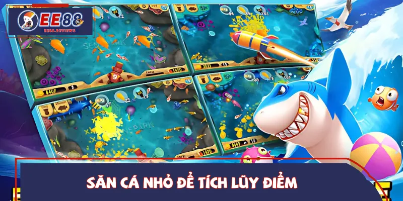 Tập trung bắn cá nhỏ để tích lũy điểm an toàn